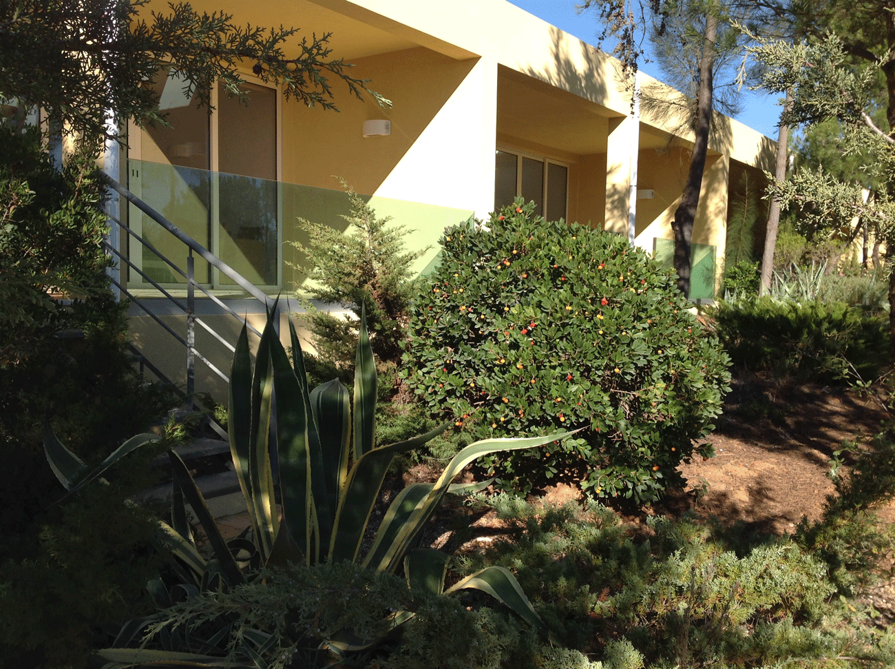 Quinta das Eirinhas - Jardim de Bonsai